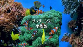 Download lagu サンサーンス:水族館 mp3 Download lagu サンサーンス:水族館 mp3