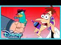 Phineas And Ferb Random Rings Dr Doofenshmirtz S Clone Fail Disneychannelanimation