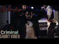 Dj Mshega Ft Lady Zamar Criminal Official Short Music Video