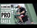 JAN TUREK IFBB PRO - 6 DNÍ DO EVLS PRAGUE PRO 2021 - Část 1.