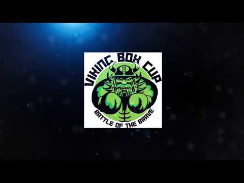 boksestævne viking box cup del 11