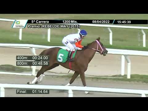 220408 c05-  BIEN CLARA - HIPODROMO LAS PIEDRAS