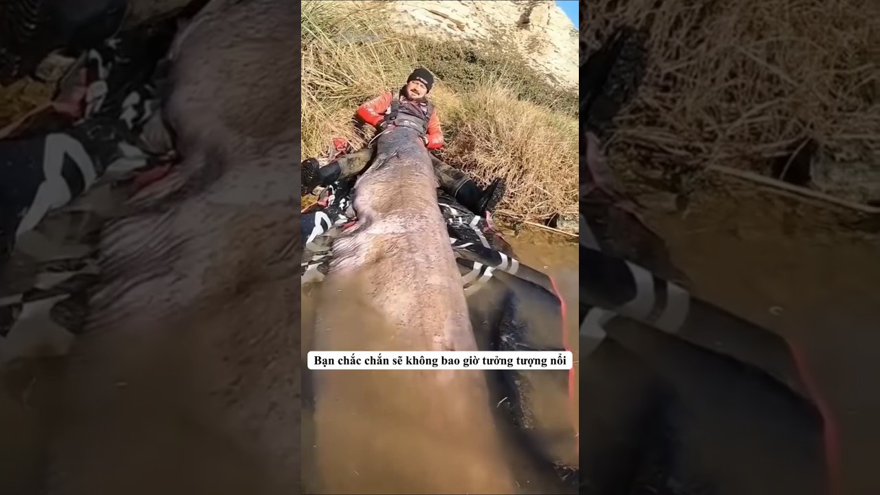 Cần thủ thử sức "quái vật" sông Amazon