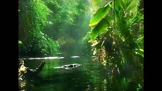 Carl Craig - A Wonderful Life (Album Version)