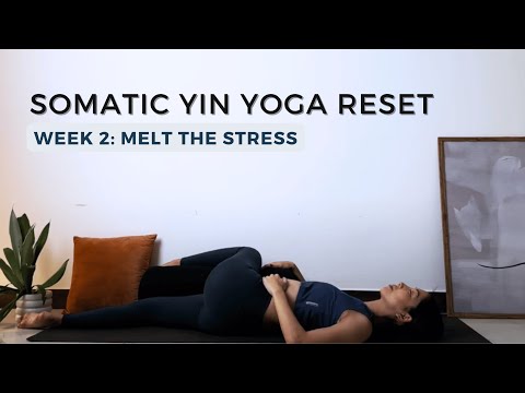 Day 2 | Somatic Yin Yoga Reset | Melt the Stress