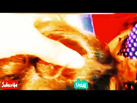 Best Long Hair play video In the Bus //sagar Kumari long hair video
