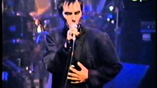 Keep Me From Harm - Peter Murphy