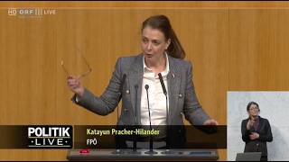 Katayun Pracher-Hilander - ORF-Zwangsabgaben-Abschaffungsgesetz - 26.3.2026