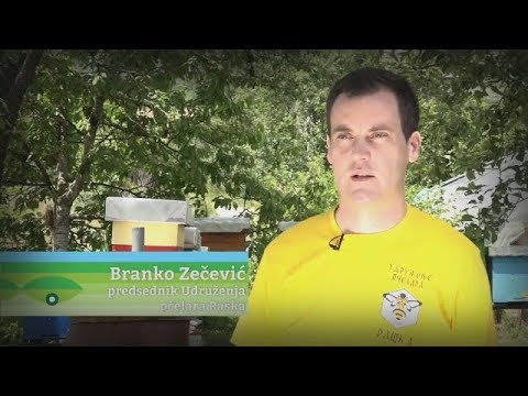 Agro Karavan Raška - udruženje pčelara Raška