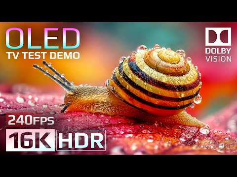 16K HDR 240fps OLED Test Demo | Ultimate Dolby Vision™ Experience