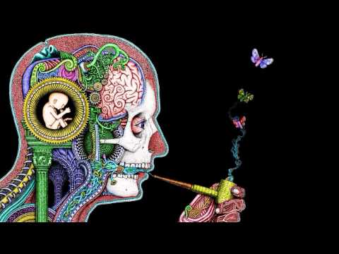 Apzolut - Enter the Room of Rafa [Meow Meow vs Jefflocks vs Steelheart Remix]