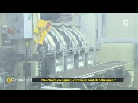 Paper tissues: how are they made?