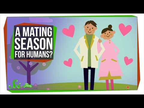 Why Don't Humans Have a Mating Season?
