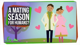 Why Don't Humans Have a Mating Season?