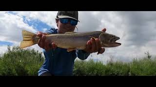 Wyoming Fly Fishing & Cattle Ranches For Sale - Harrower Ranch -