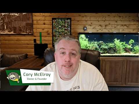 Top 10 Best Selling Fish for Breeders: Profit Guide