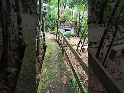 Gruta Nossa Senhora das Graças - Garuva SC. fevereiro 2026