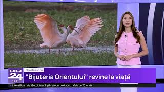 Planeta ești tu. Vestul Europei, devastat de caniculă