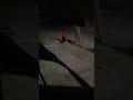 Serbian Dancing Lady Almost Killed Me Short