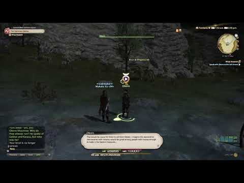 Final Fantasy XIV - Ninja Assassin (Ninja Quest - LV54)