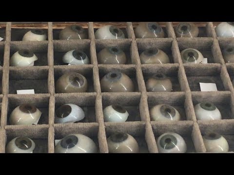 Worlds Greatest Kiting 112 - Bishop Planetarium and South Florida Museum