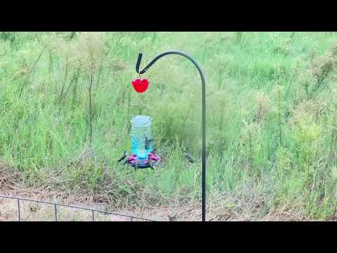 Review video 1 Review video 1