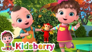 Here We Go Round The Mulberry Bush | Kidsberry Nursery Rhymes &amp; Baby Songs