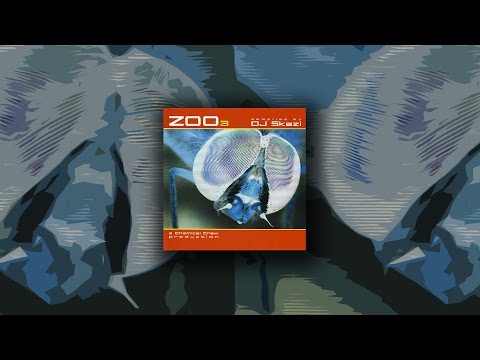 Skazi & Paranormal Attack - The Bitts [2004]