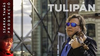 Szarka Tamás – Tulipán (2017)