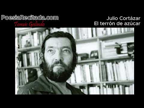 Julio Cortázar - El terrón de azúcar
