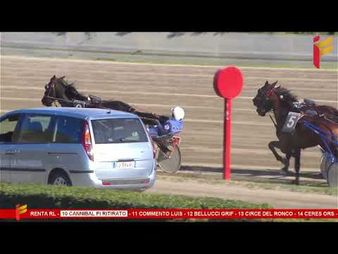 VI Corsa del 25 marzo 2023 - 5 e 6 Anni - Metri 1600