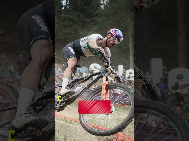 value for money mountain bikes