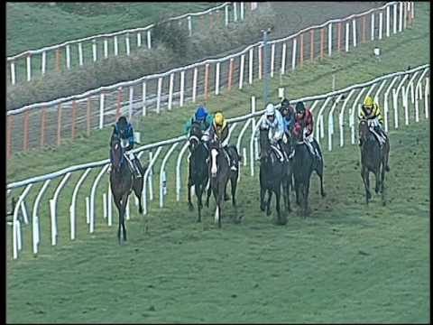 Galoppo 14/01/2017 - 3ª corsa