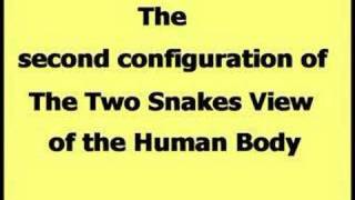 The Two Snakes View of the Human Body # 01