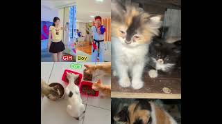 Download lagu Cat lovers comentt #trending mp3 Download lagu Cat lovers comentt #trending mp3