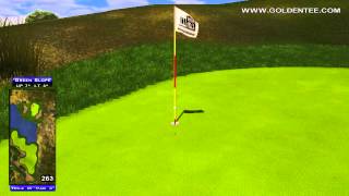 preview picture of video 'Golden Tee Great Shot on Greek Hills!'