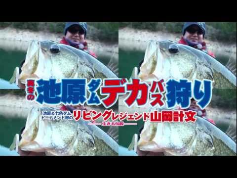 Tiemco PDL Super Living Fish 10cm 30