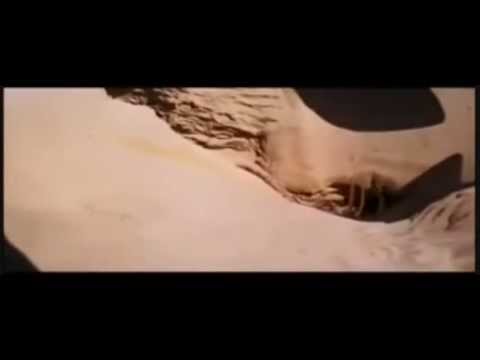 Boba Fett falls into Sarlacc Pit