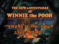 The New Adventures Of Winnie The Pooh Volume 4 There S No Camp Like Home Intervals