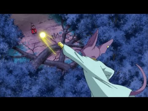 El Primer Encuentro De Champa Con Bills | Latino