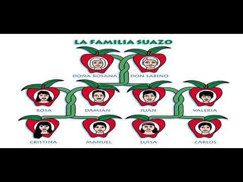 Module 3 Leccion 5 Listening Activity