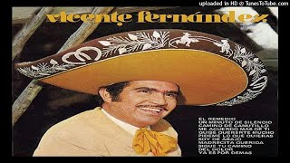 VICENTE FERNANDEZ - EL REMEDIO