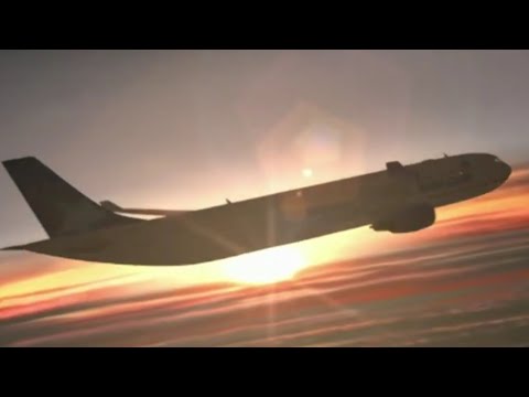 Air Transat Flight 236 - Animation