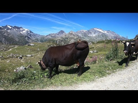 Rifugio Chalet de l' Epée - Valgrisenche - Valle d'Aosta