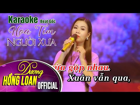 Karaoke Beat Gốc | Hoa Tím Người Xưa | Dương Hồng Loan