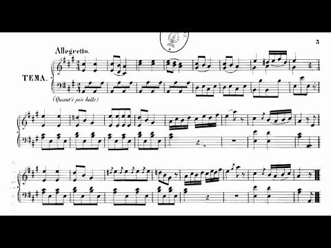 Ludwig van Beethoven - 9 Variations on 'Quant'e piu bello', WoO 69