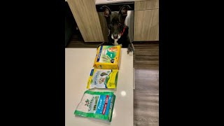 Dog Taste Test 4 - Dental Treats - Greenies vs. Dentastix vs