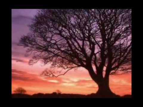 Stars video