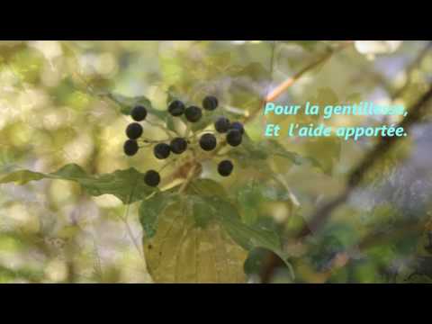download lagu mp3 mp4 Les Yeux Bords De Reconnaissance, download lagu Les Yeux Bords De Reconnaissance gratis, unduh video klip Les Yeux Bords De Reconnaissance