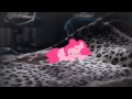 Pinkie Pie Sleep MLP In Real Life